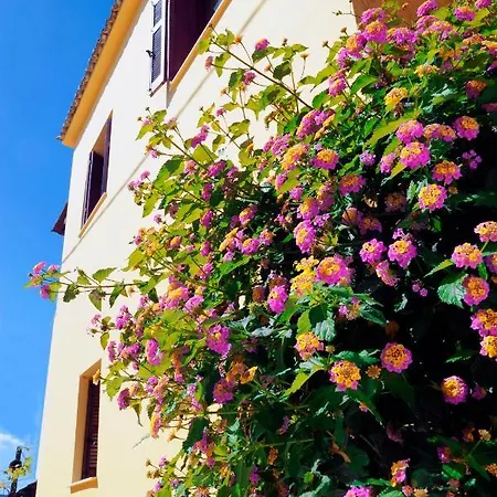 Traditional Greek Maisonette In Antiperni Village *